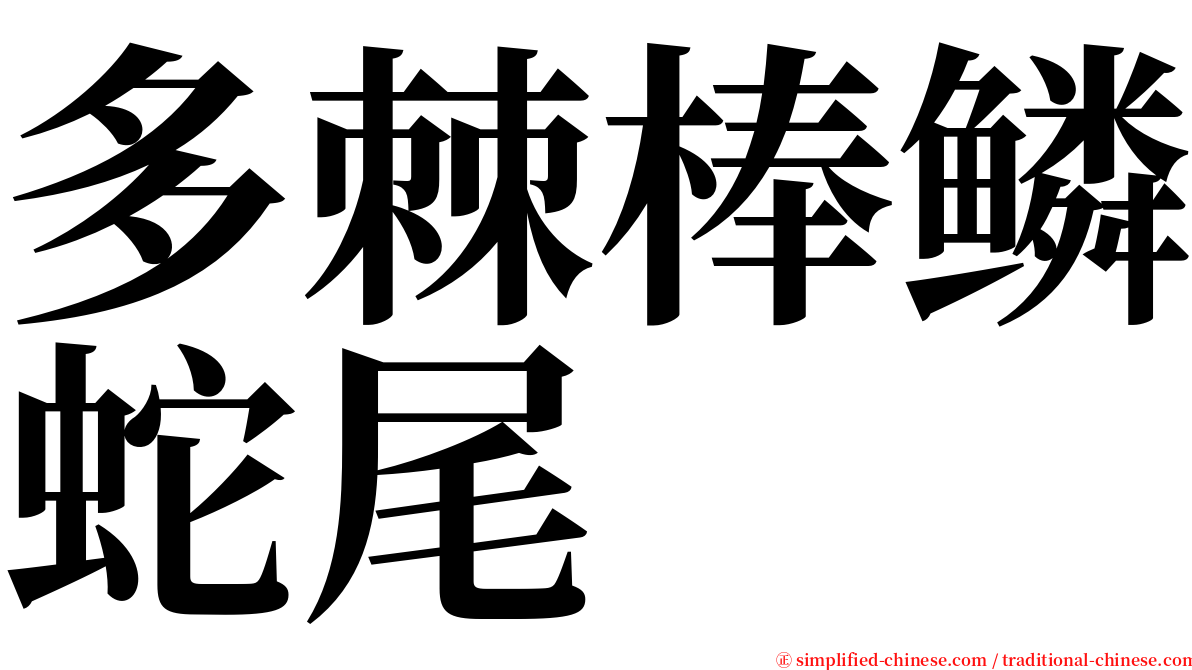 多棘棒鳞蛇尾 serif font