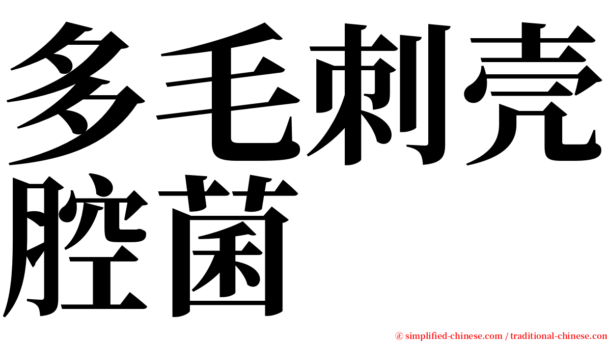 多毛刺壳腔菌 serif font