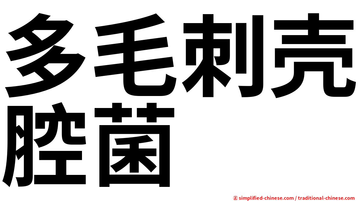多毛刺壳腔菌