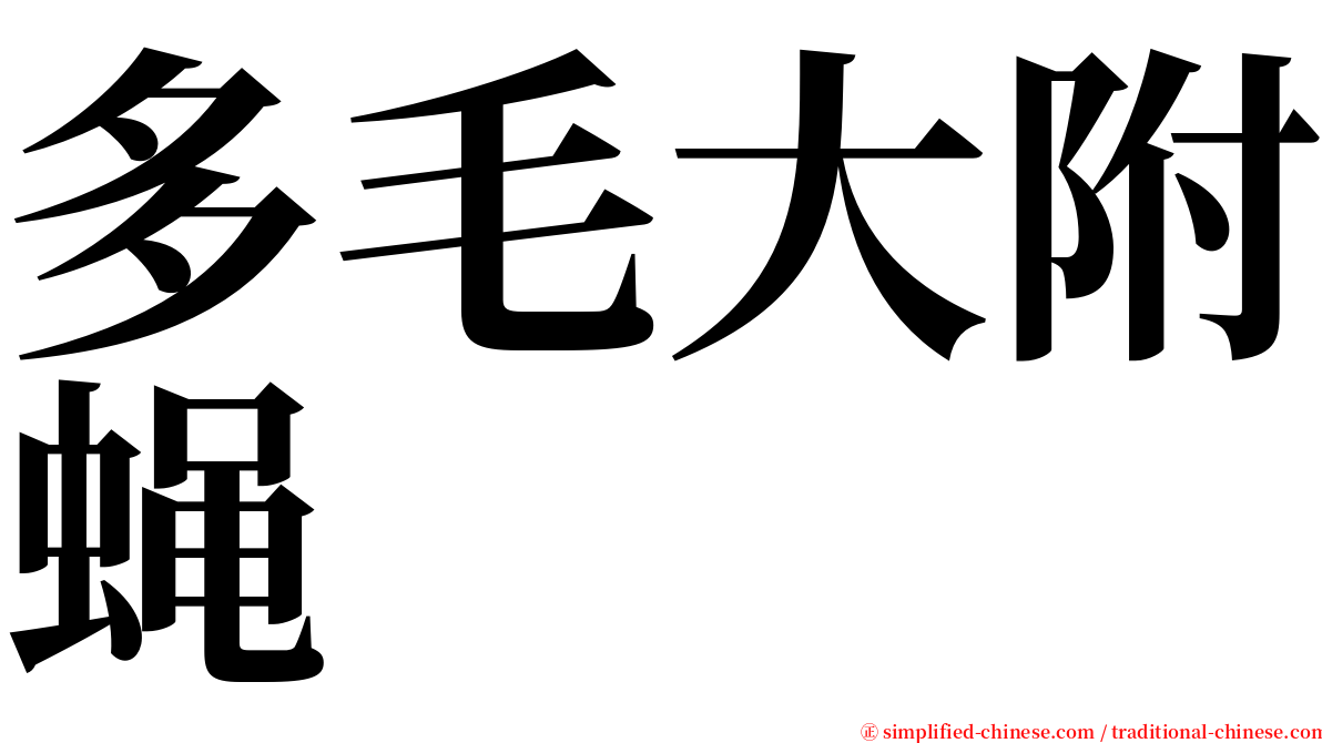 多毛大附蝇 serif font