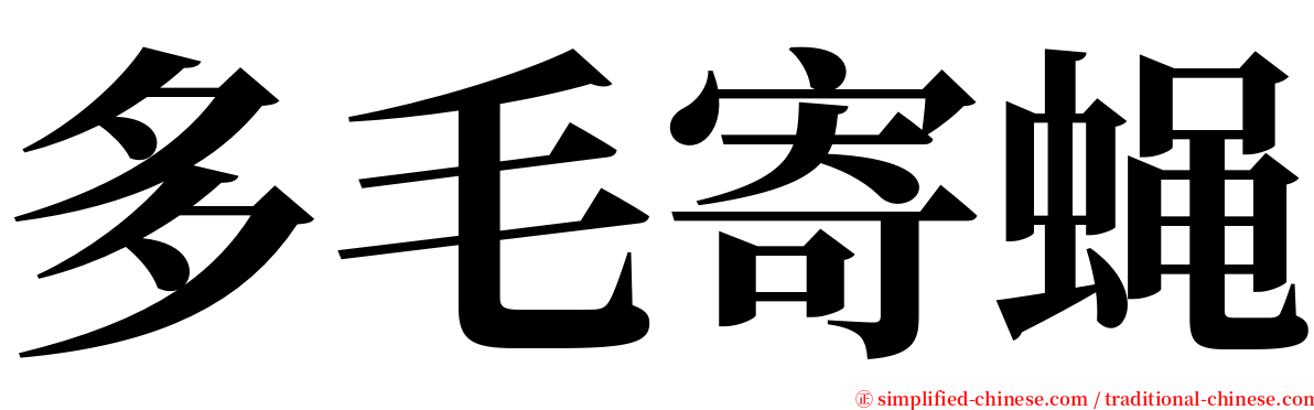 多毛寄蝇 serif font