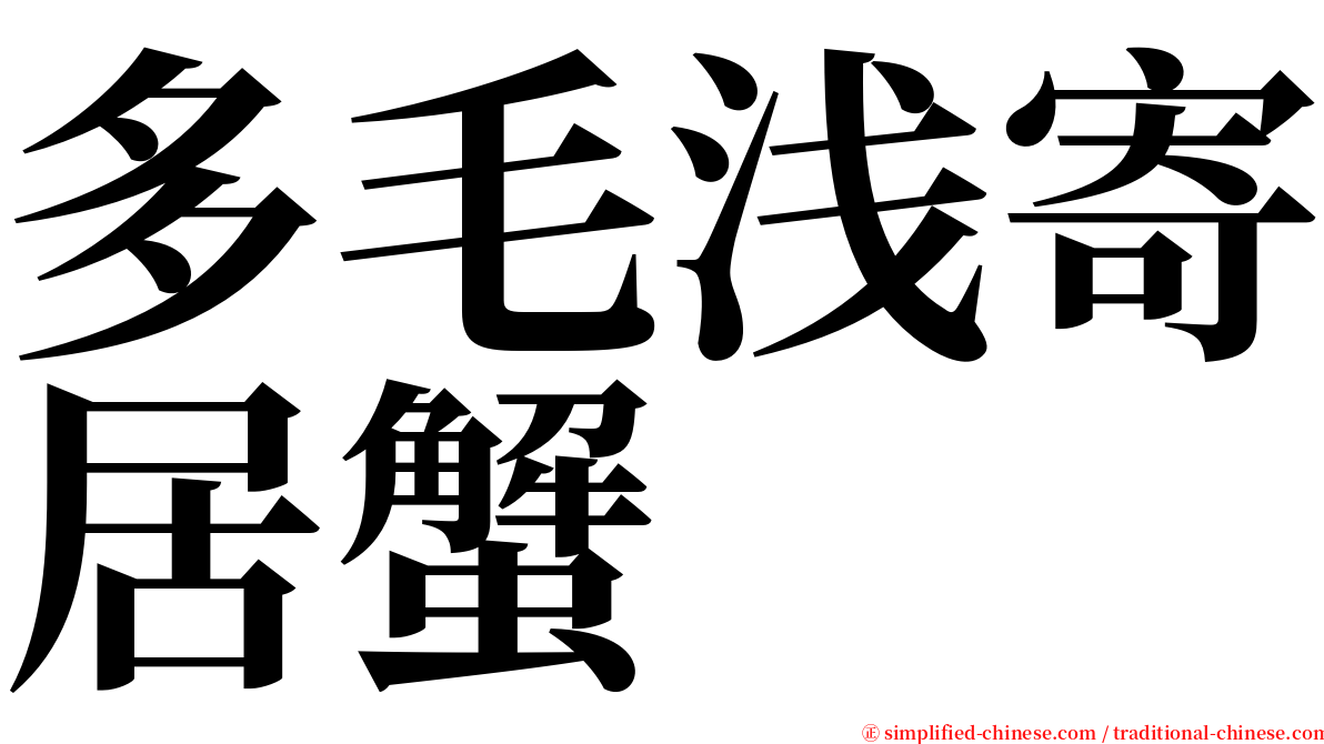 多毛浅寄居蟹 serif font