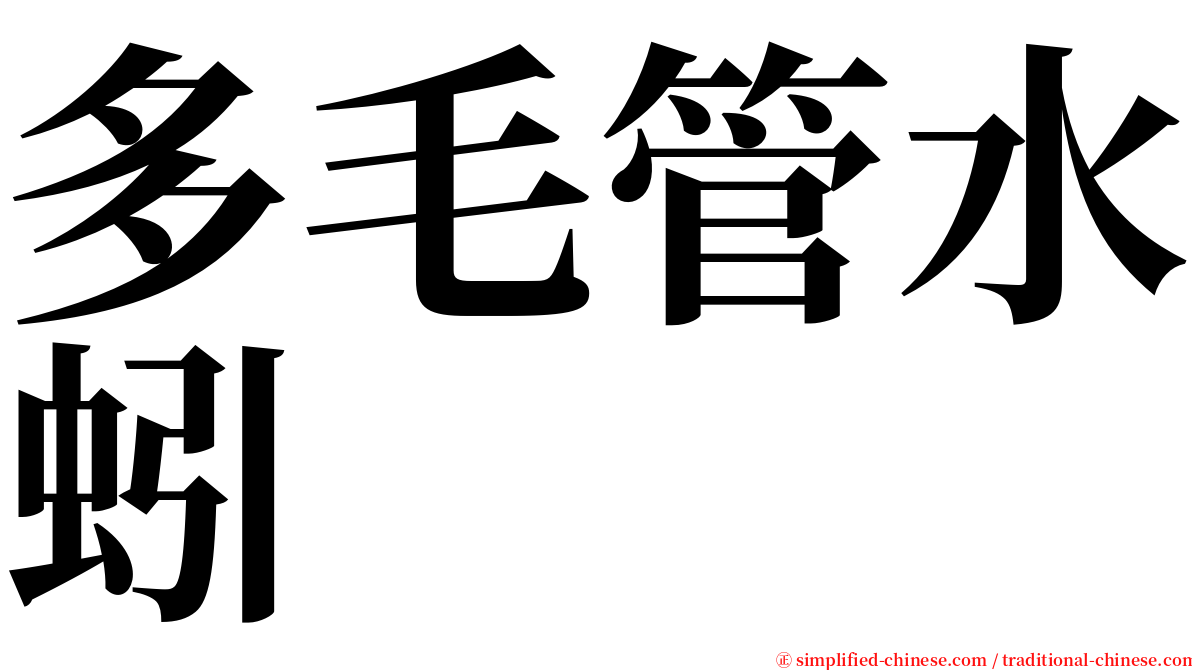 多毛管水蚓 serif font