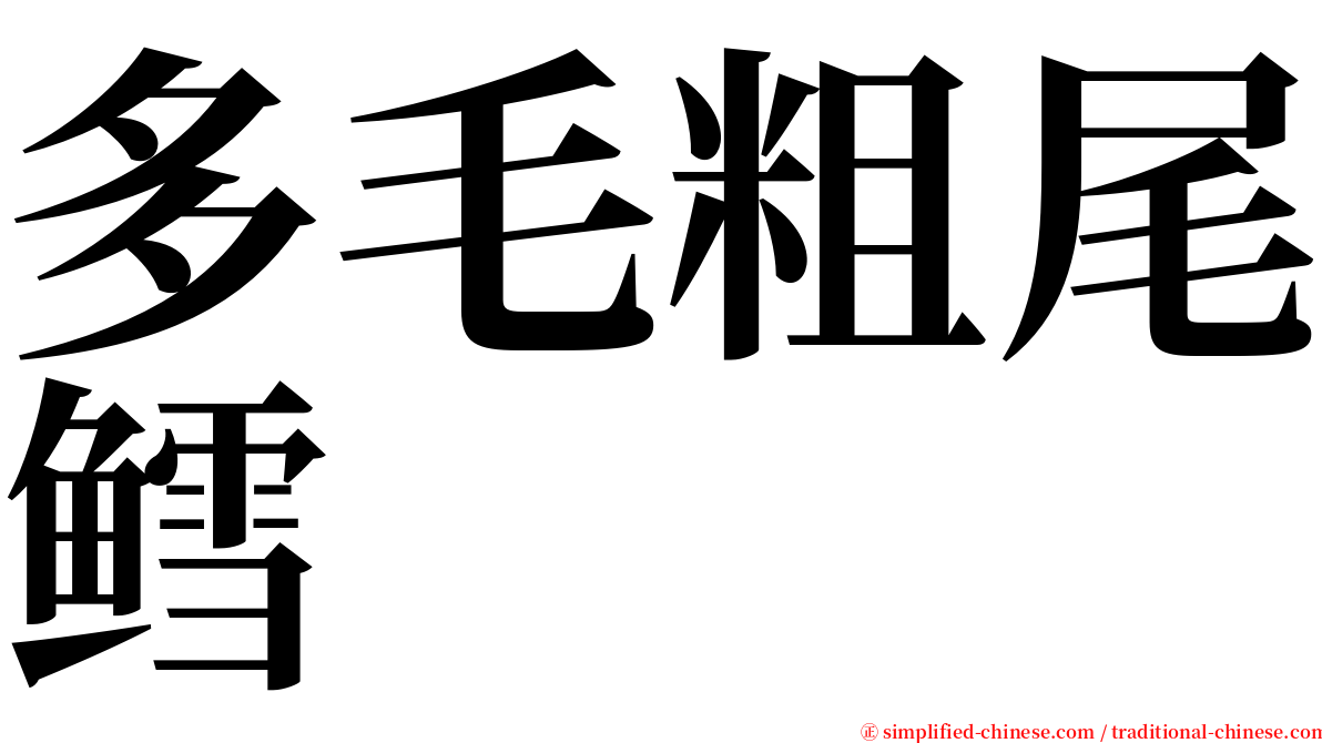 多毛粗尾鳕 serif font