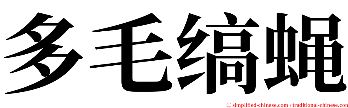 多毛缟蝇 serif font