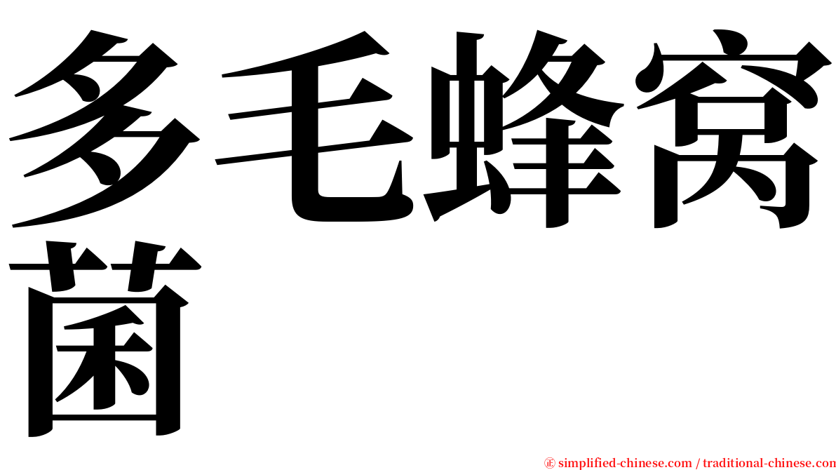 多毛蜂窝菌 serif font