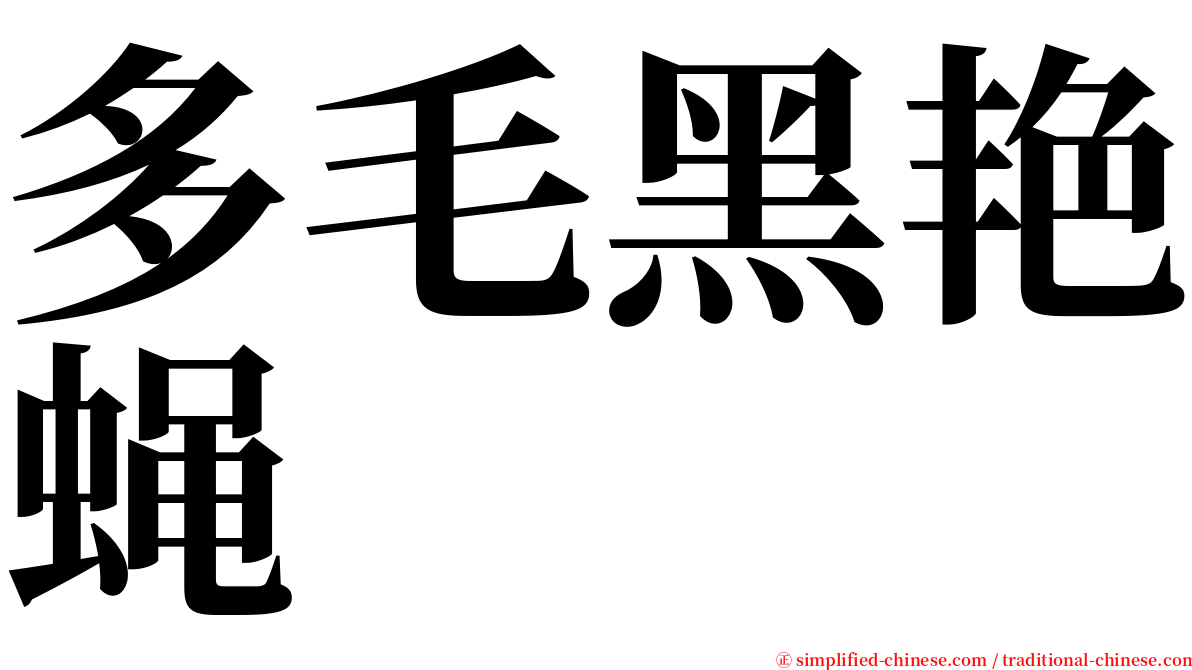 多毛黑艳蝇 serif font