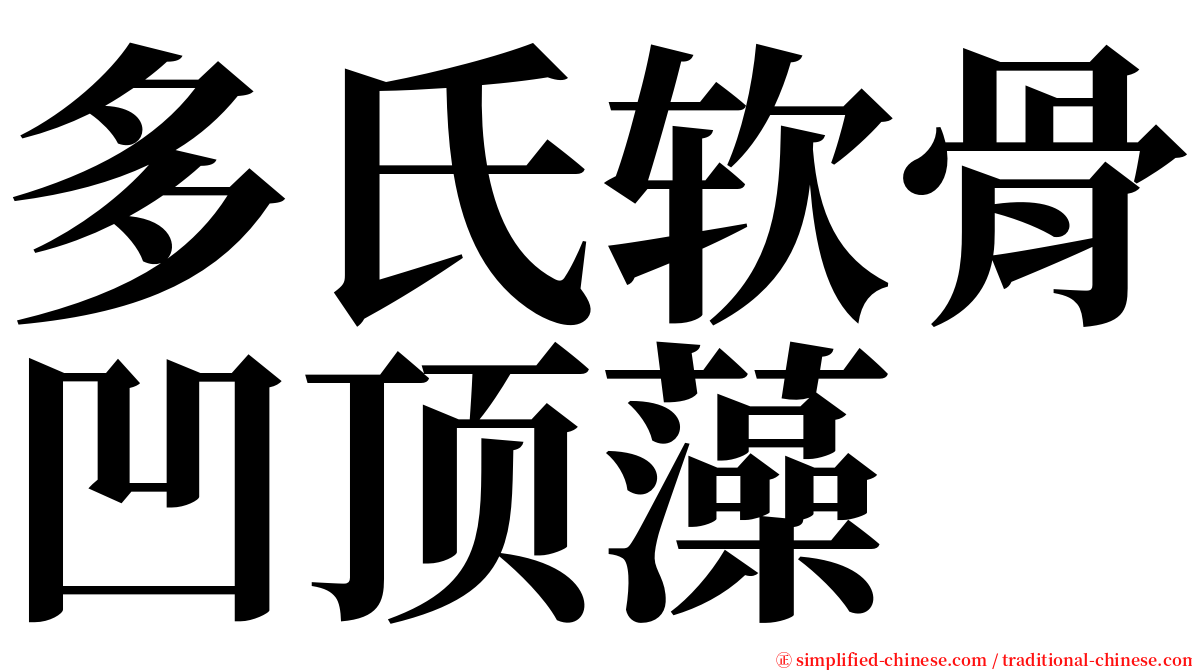 多氏软骨凹顶藻 serif font