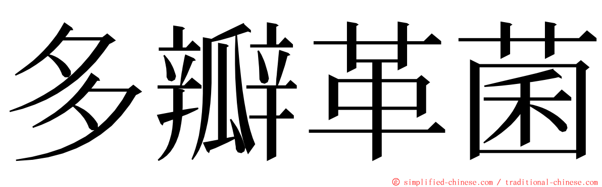 多瓣革菌 ming font
