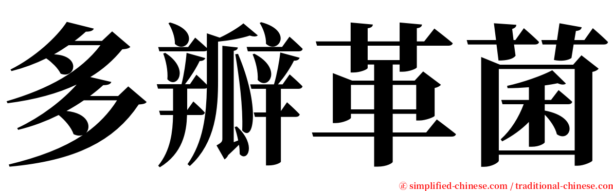 多瓣革菌 serif font