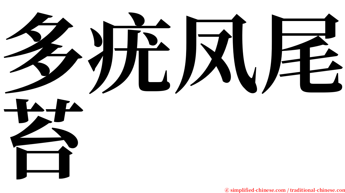 多疣凤尾苔 serif font