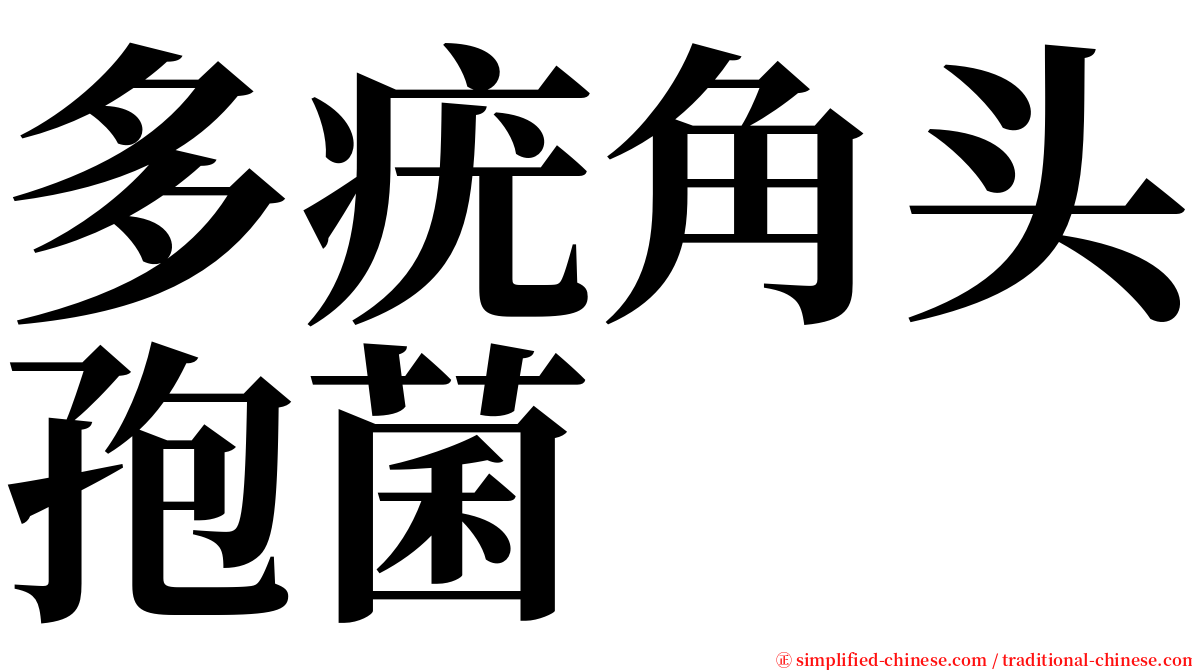 多疣角头孢菌 serif font