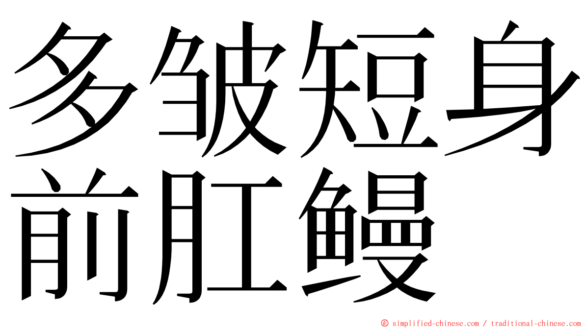 多皱短身前肛鳗 ming font