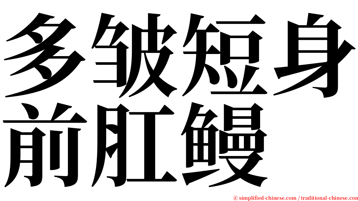 多皱短身前肛鳗 serif font