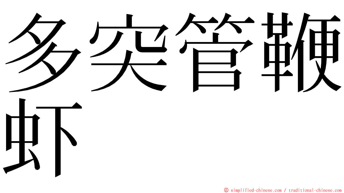 多突管鞭虾 ming font