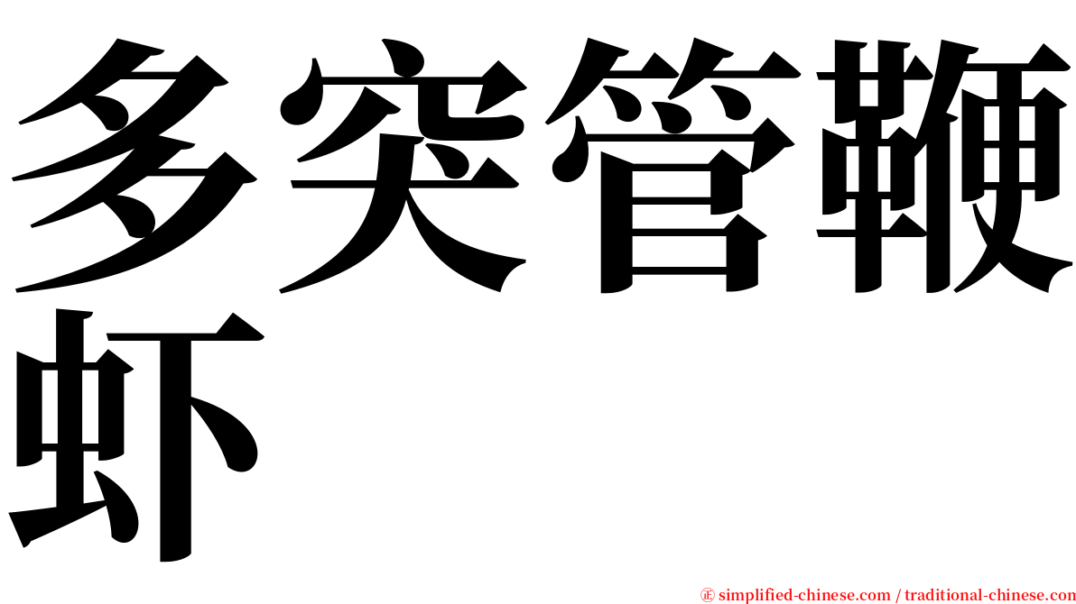 多突管鞭虾 serif font