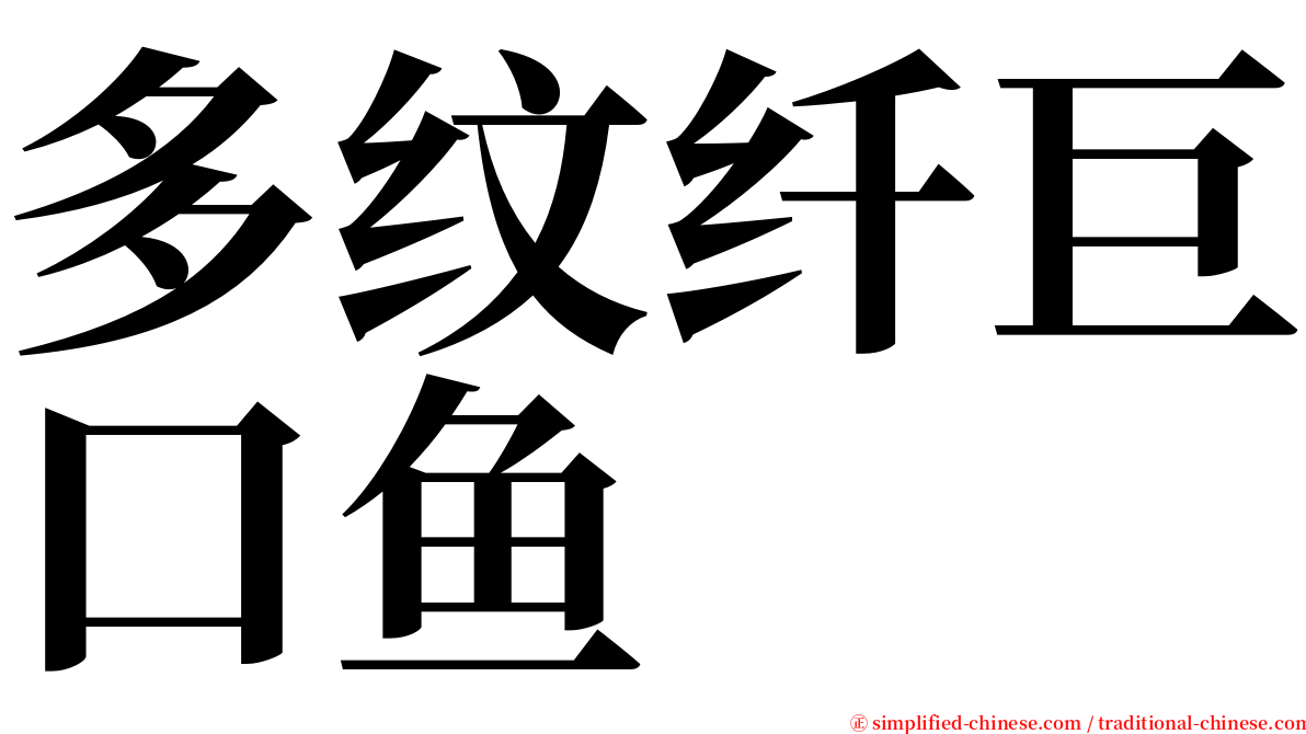 多纹纤巨口鱼 serif font