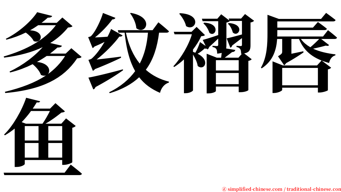 多纹褶唇鱼 serif font