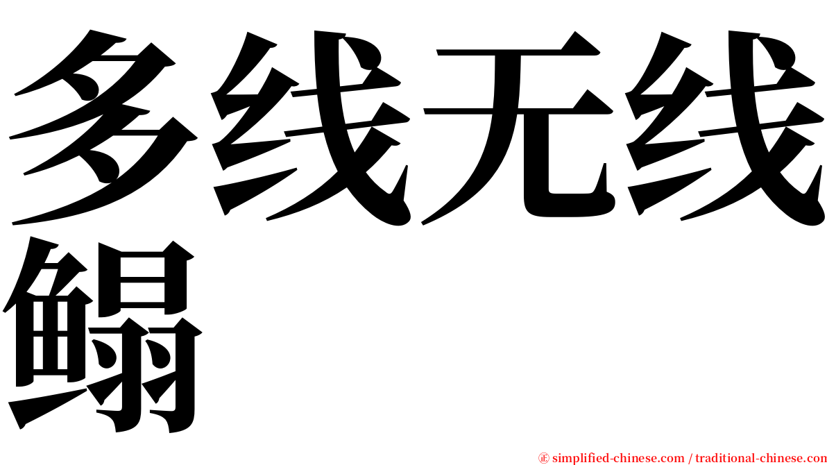 多线无线鳎 serif font