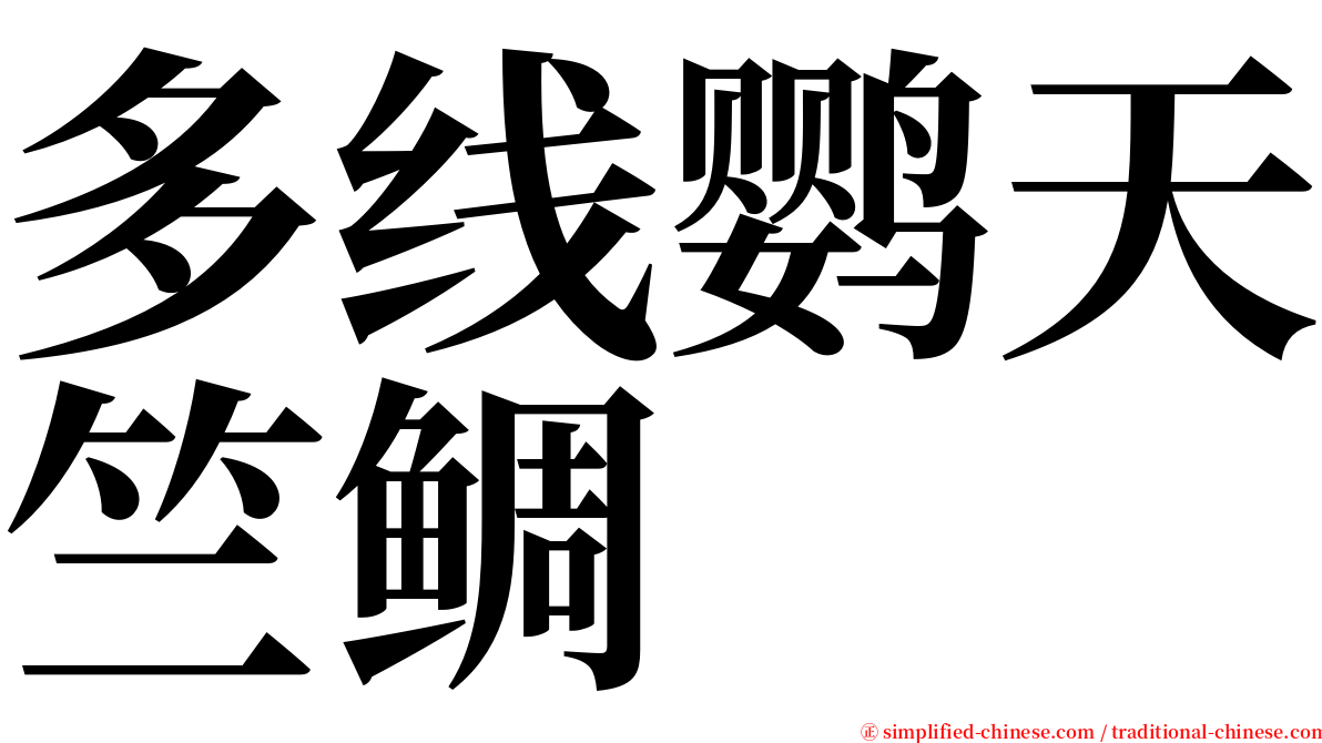 多线鹦天竺鲷 serif font