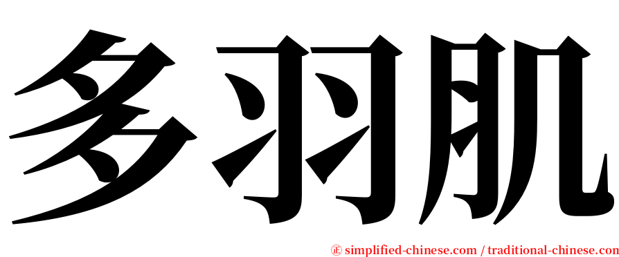 多羽肌 serif font