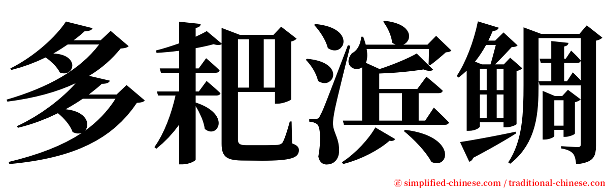 多耙滨鲷 serif font