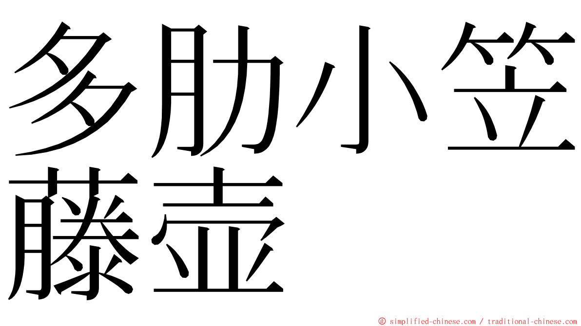 多肋小笠藤壶 ming font