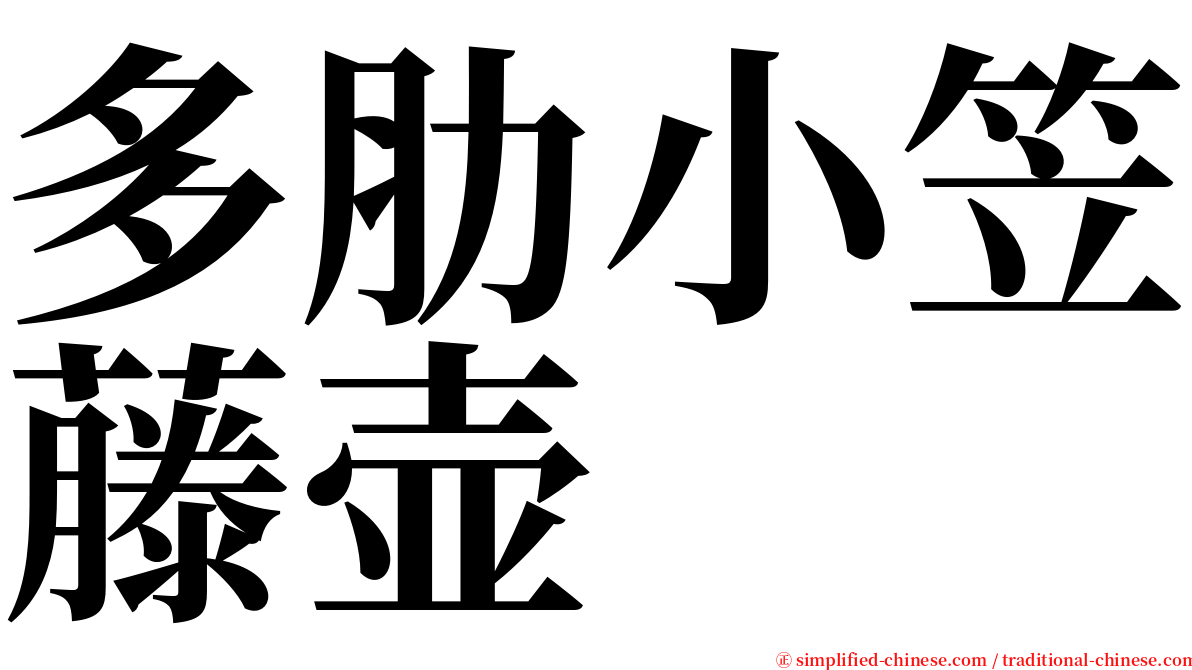 多肋小笠藤壶 serif font