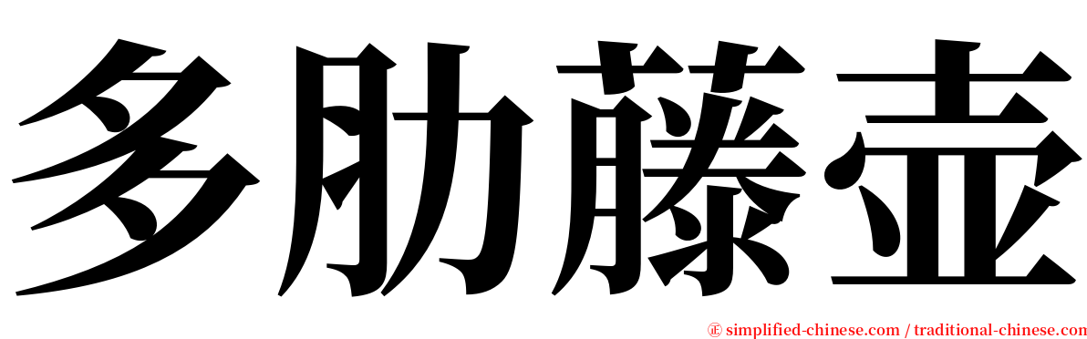 多肋藤壶 serif font