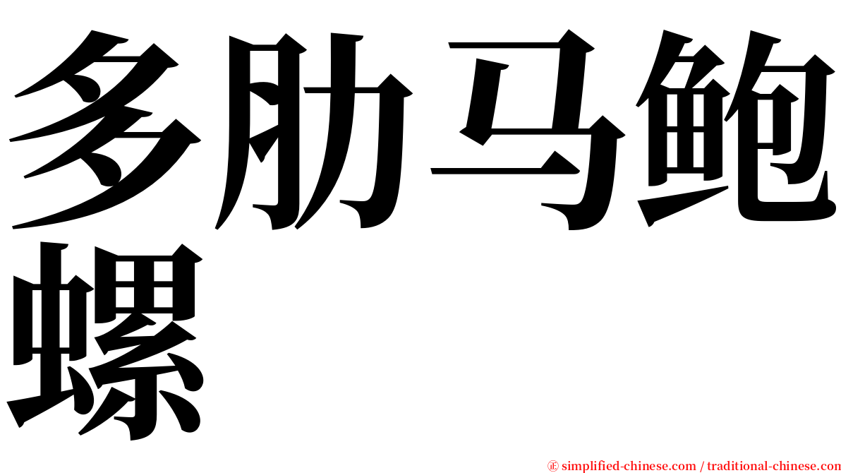 多肋马鲍螺 serif font