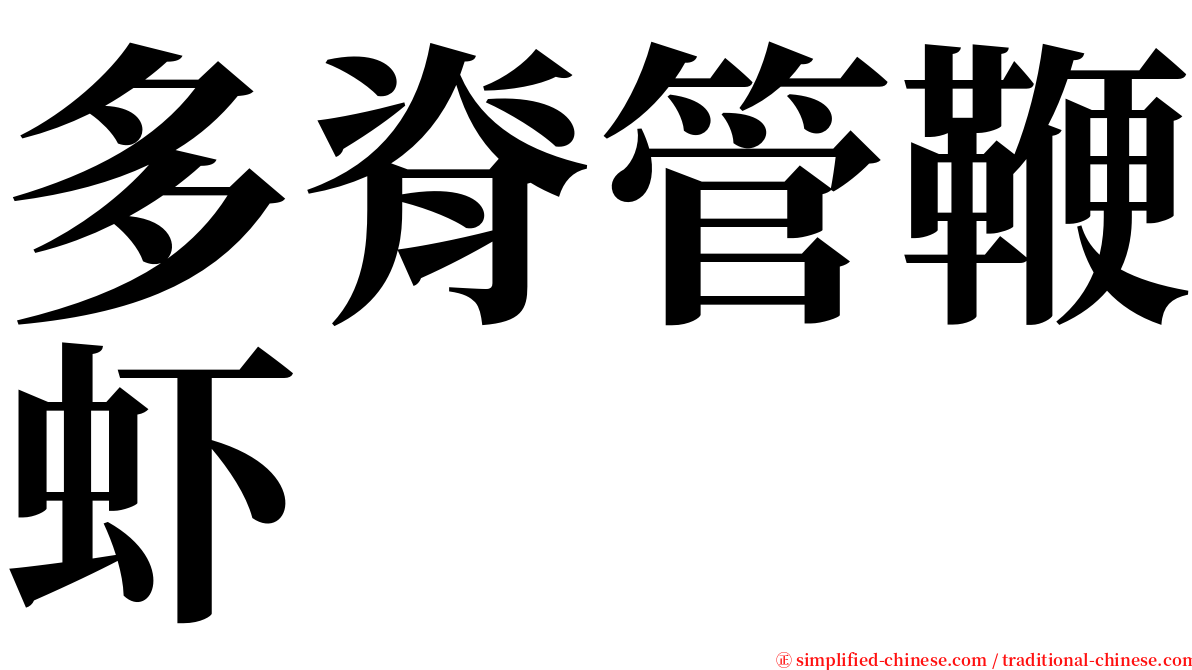 多脊管鞭虾 serif font