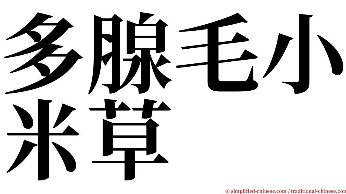 多腺毛小米草 serif font