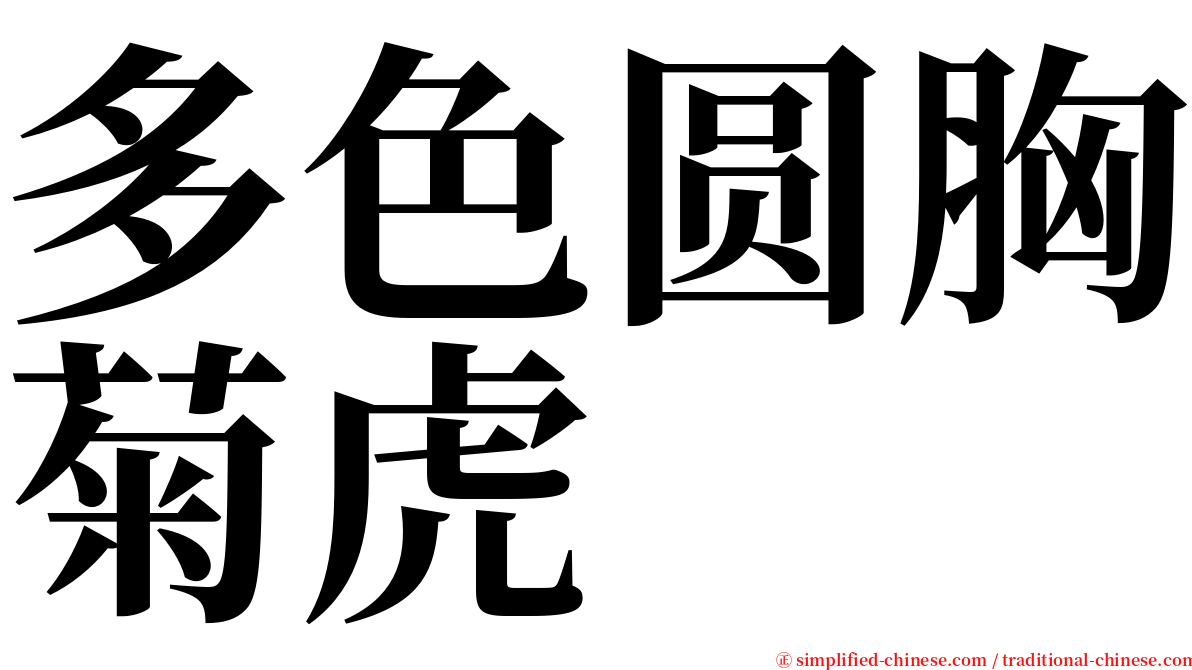 多色圆胸菊虎 serif font