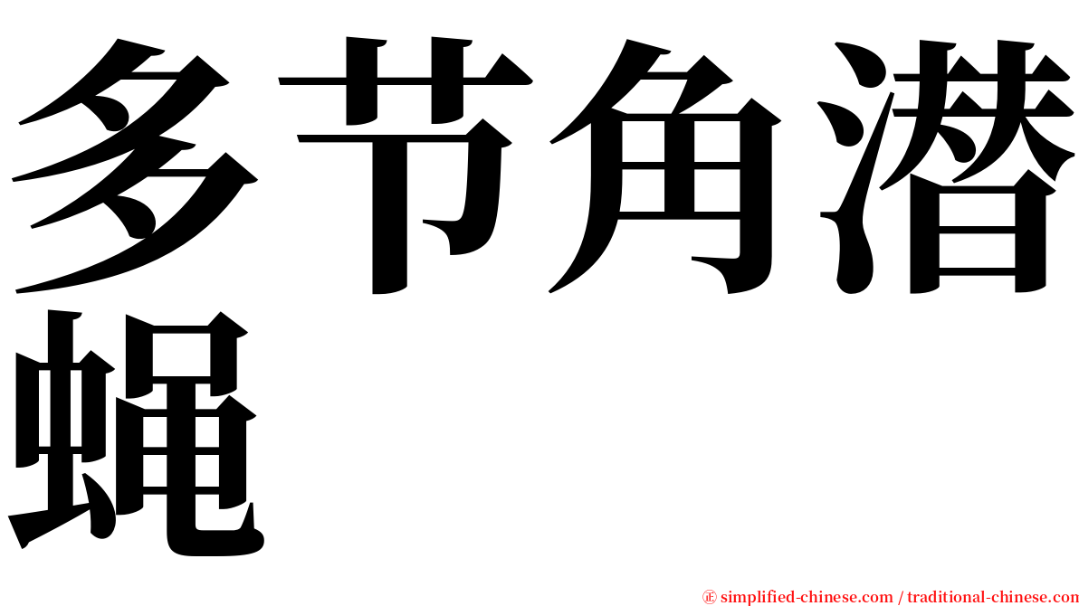 多节角潜蝇 serif font