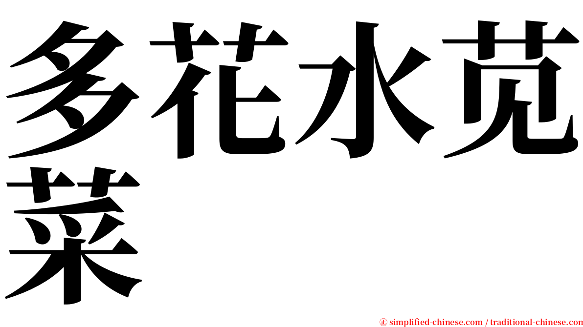 多花水苋菜 serif font