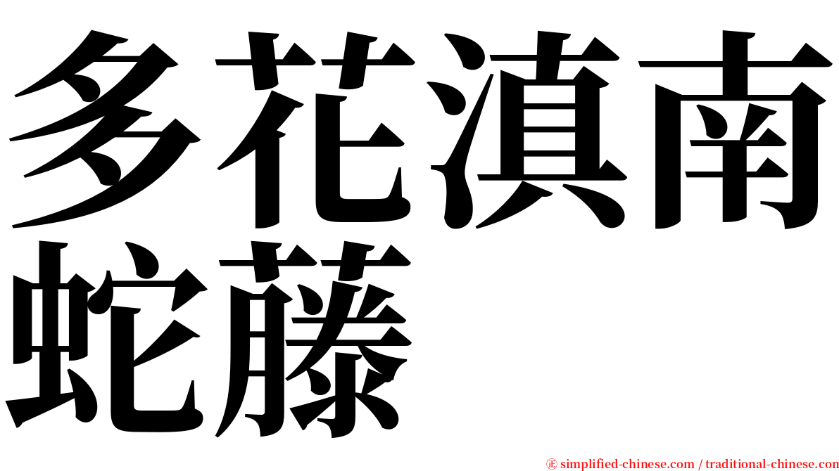 多花滇南蛇藤 serif font