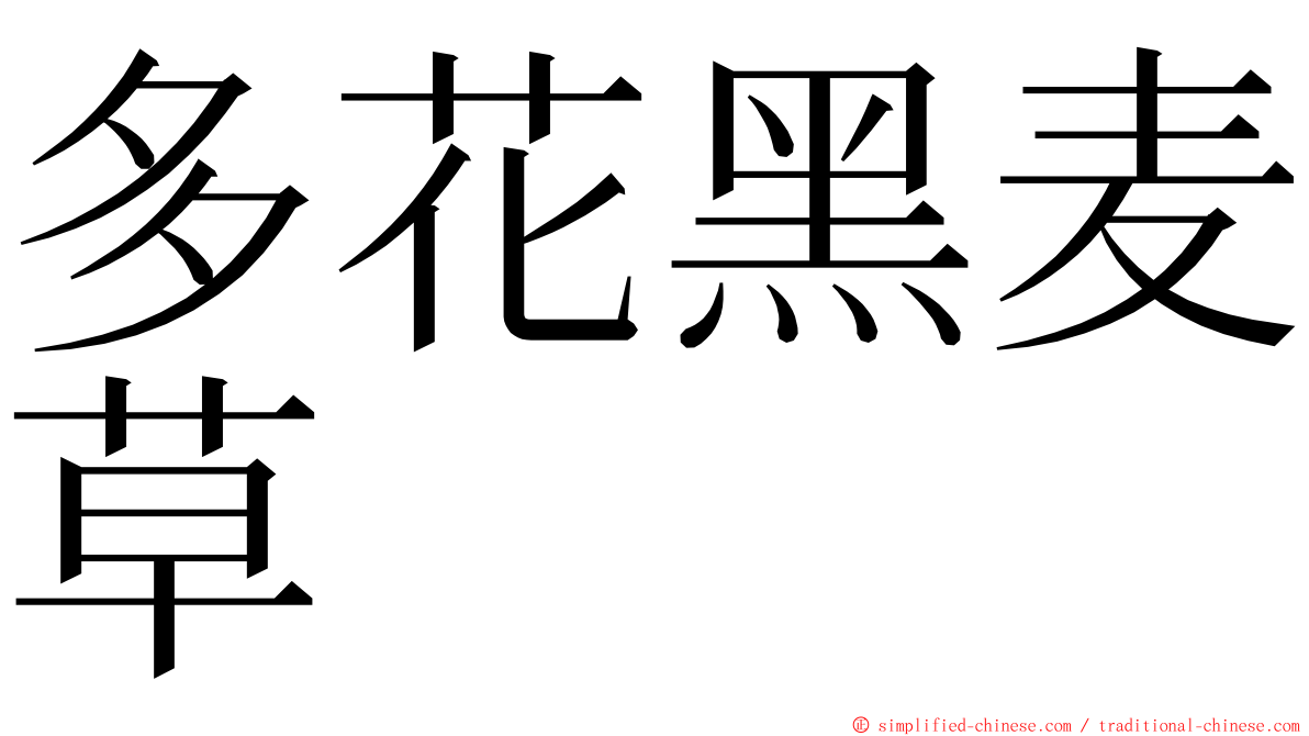 多花黑麦草 ming font