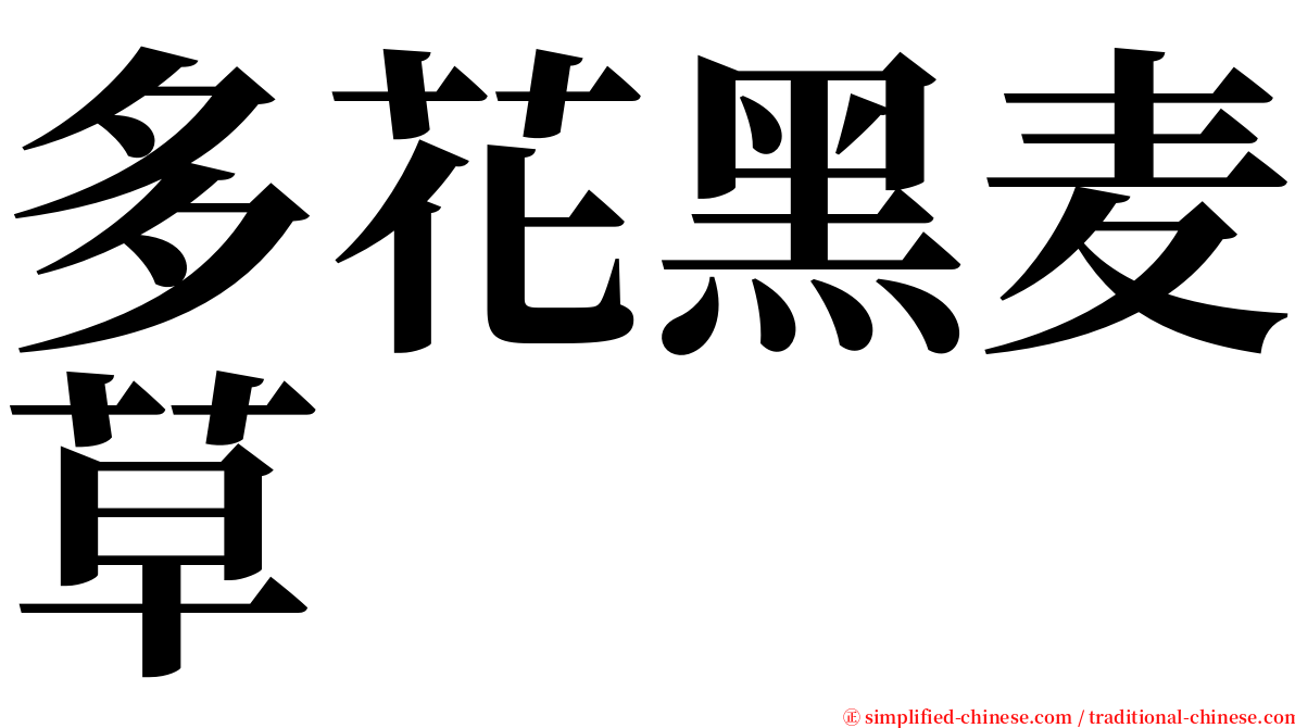 多花黑麦草 serif font