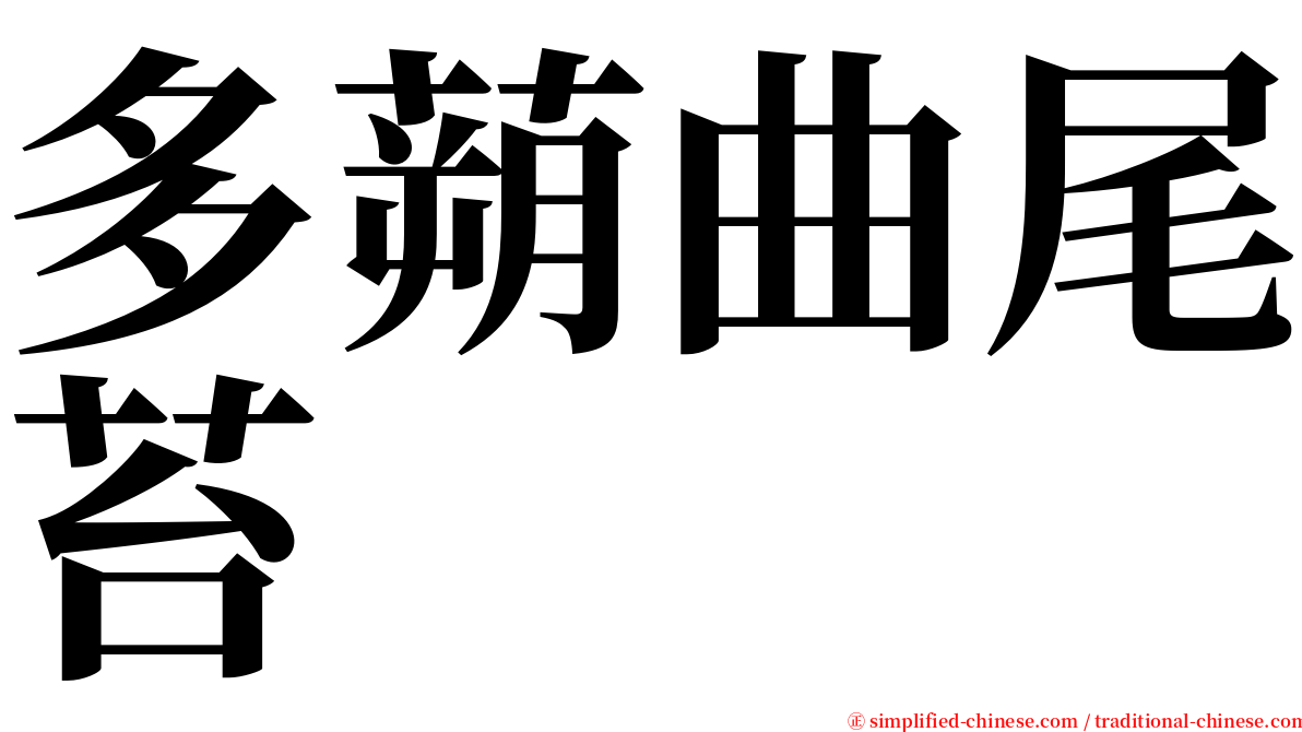 多蒴曲尾苔 serif font