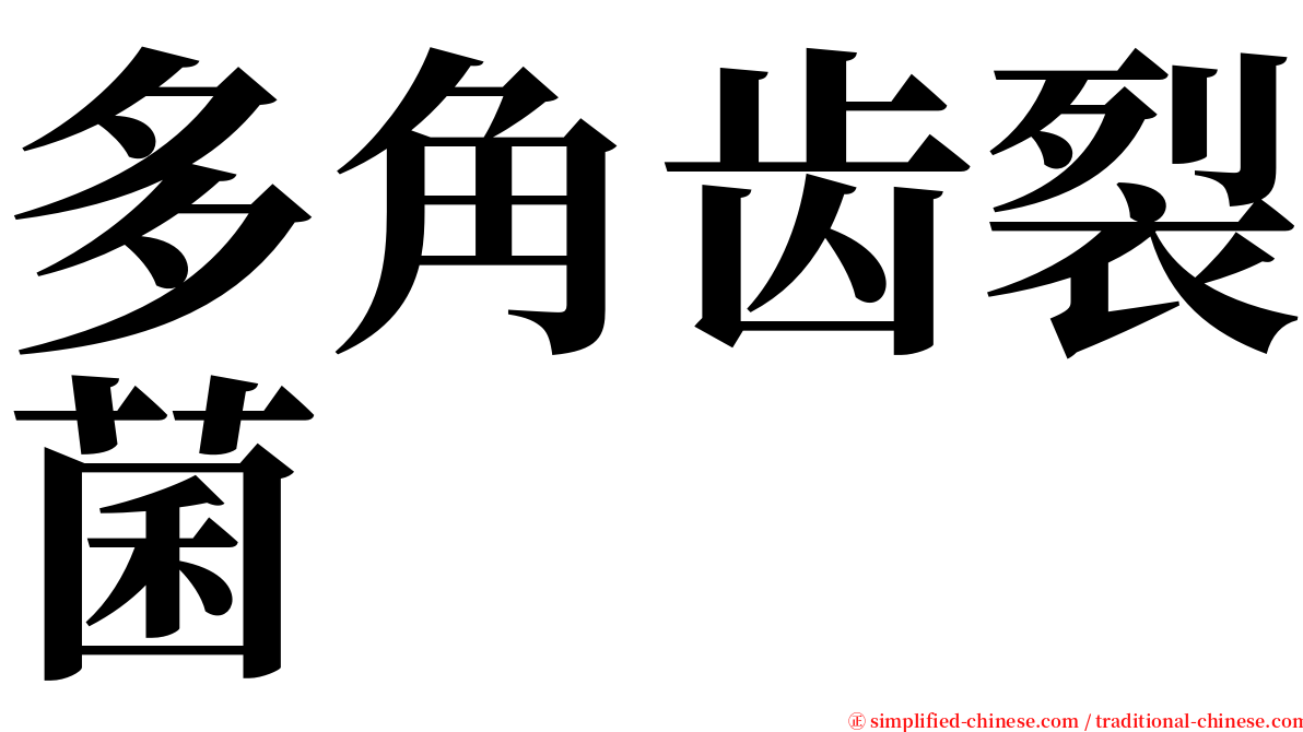 多角齿裂菌 serif font