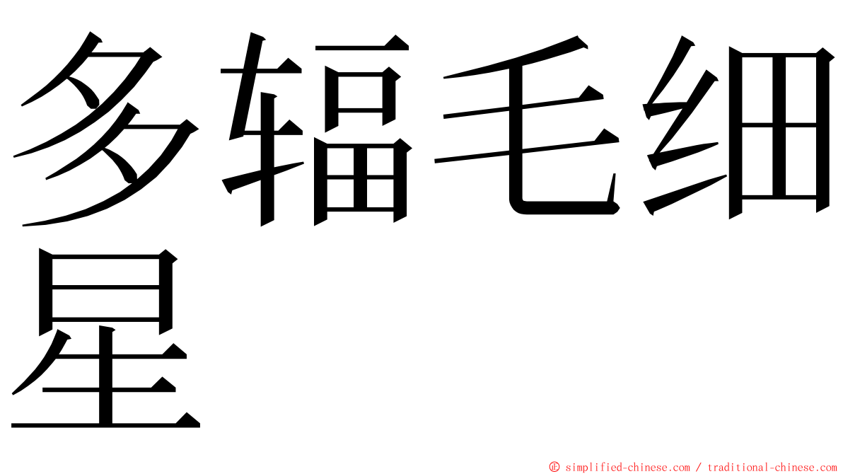 多辐毛细星 ming font