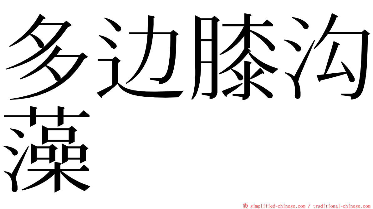 多边膝沟藻 ming font