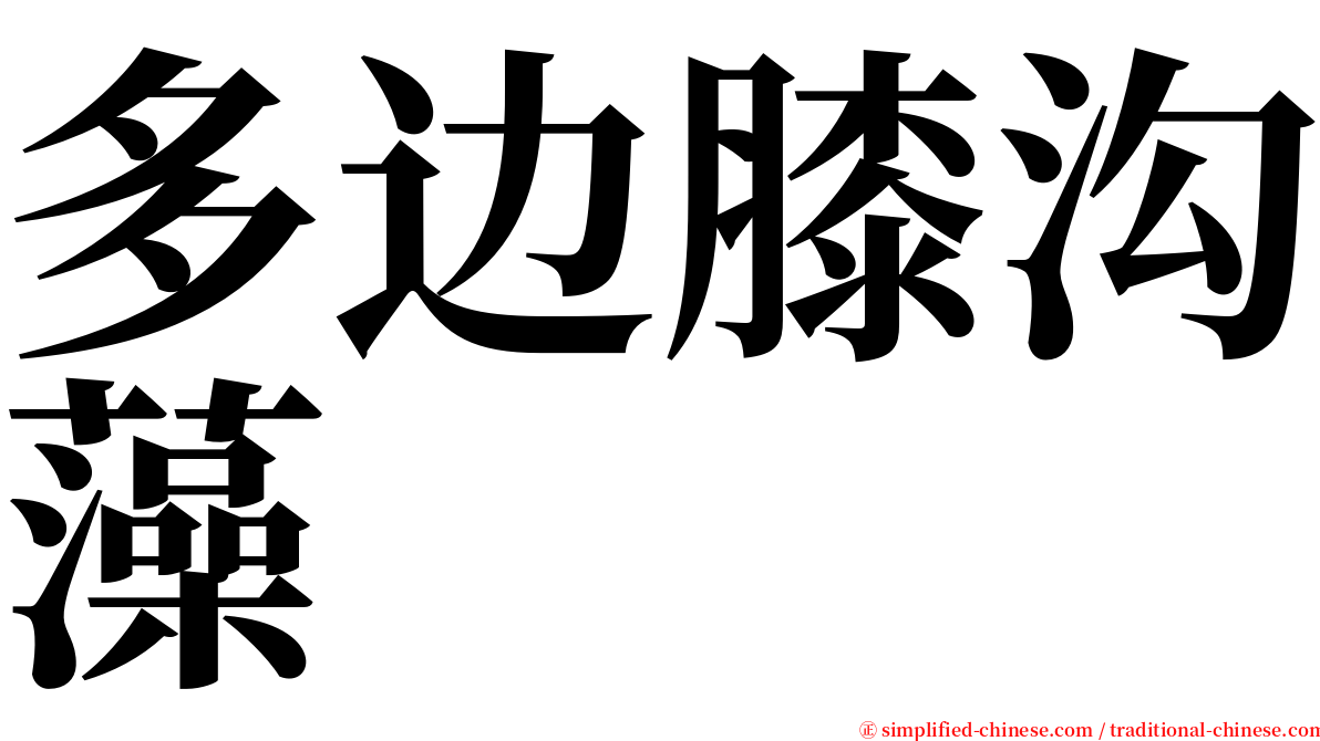 多边膝沟藻 serif font