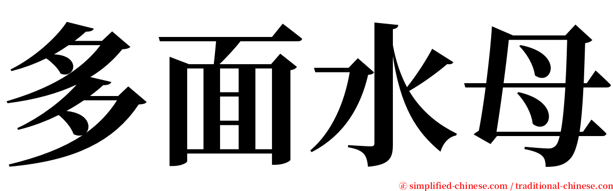 多面水母 serif font