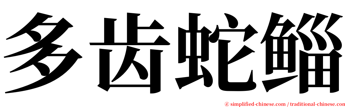 多齿蛇鲻 serif font