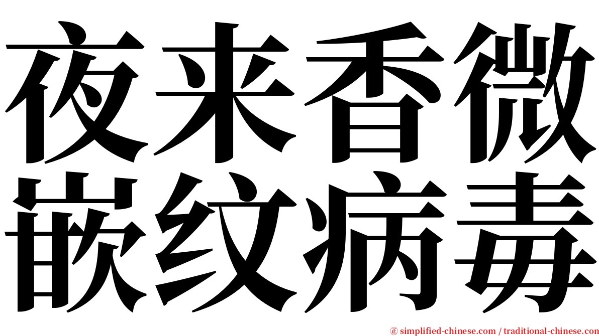 夜来香微嵌纹病毒 serif font