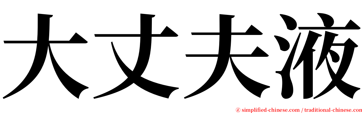 大丈夫液 serif font