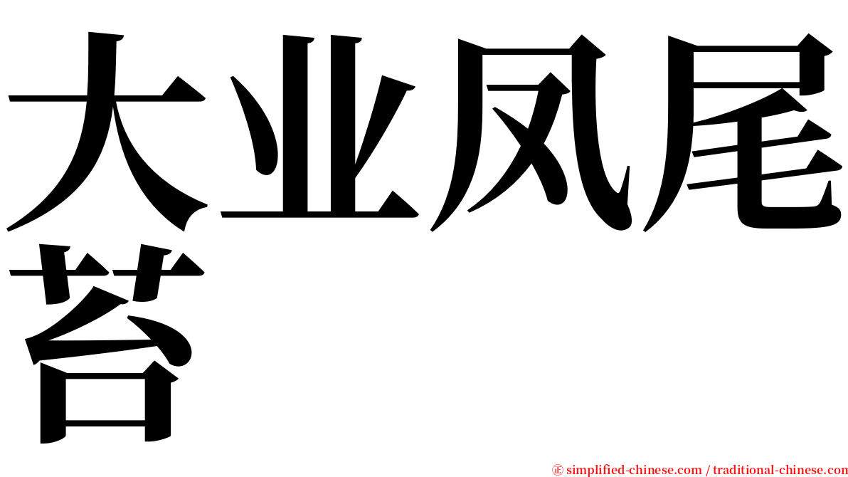 大业凤尾苔 serif font
