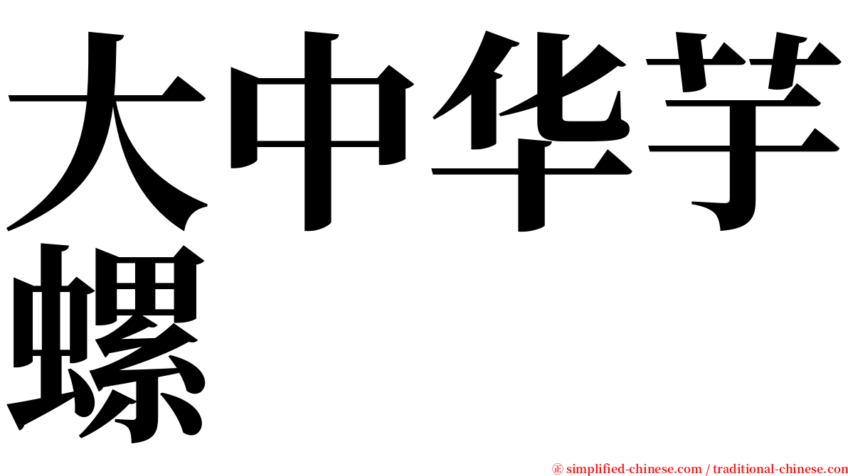 大中华芋螺 serif font