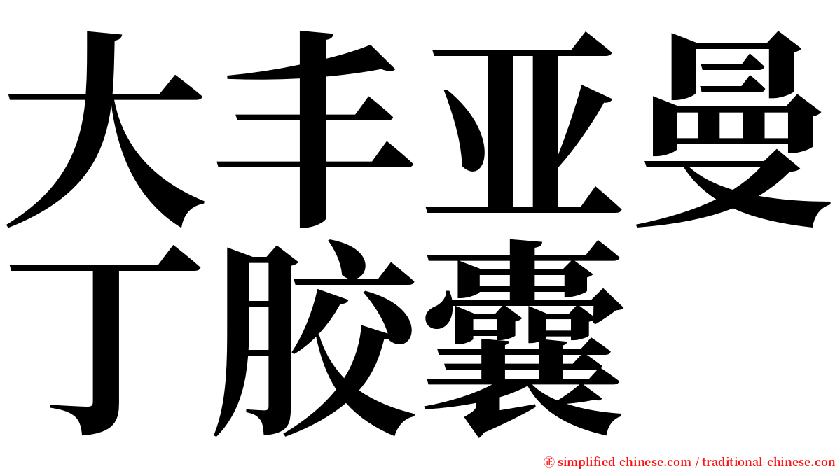 大丰亚曼丁胶囊 serif font